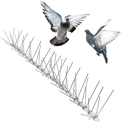 Bird Spikes R Us 5 1/2-inch (Regular) – 100ft/bx